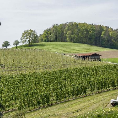 Ferienwohnung Lang Kressbronn am Bodensee Exteriör bild