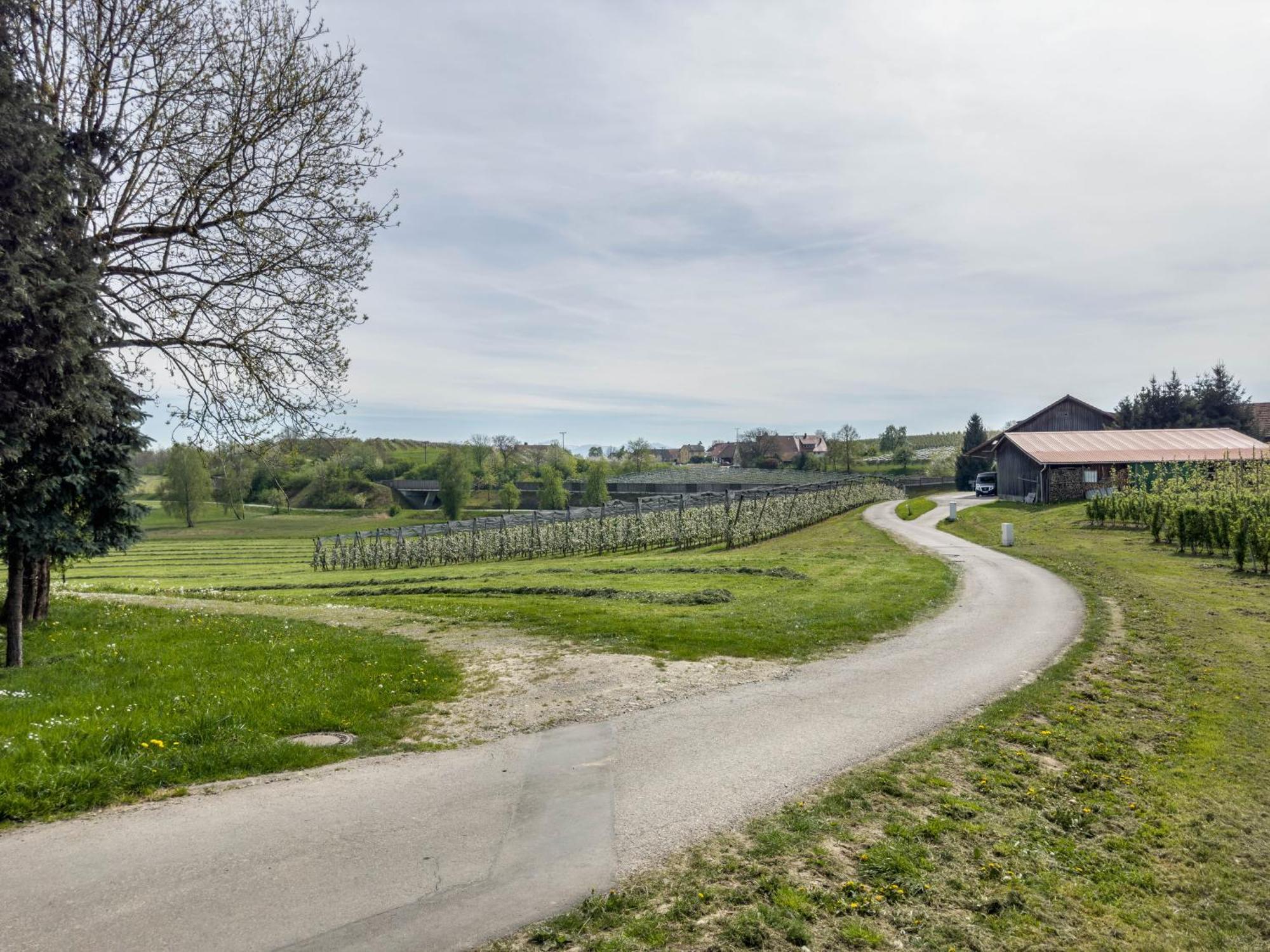 Ferienwohnung Lang Kressbronn am Bodensee Exteriör bild